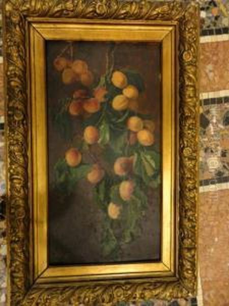 Albicocche Oil Painting by Giuseppe Mazzei