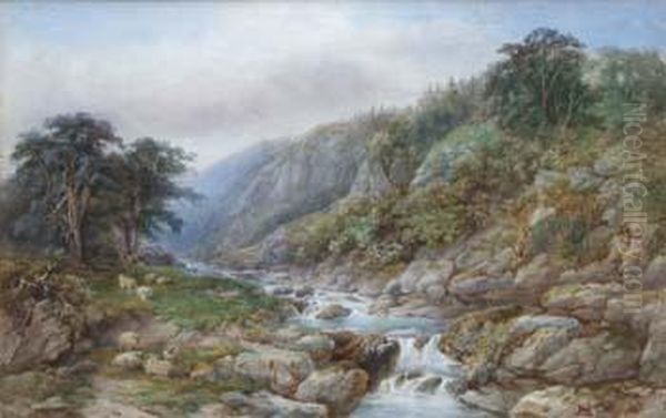 River Scene With Sheep In Fore Ground Oil Painting by J. Mcarthur
