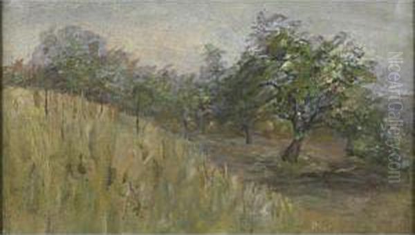 The Orchard At Arcady, The Whiteheads Estate In Montecito, Calif. Oil Painting by Jane Byrd Mccall Whitehead