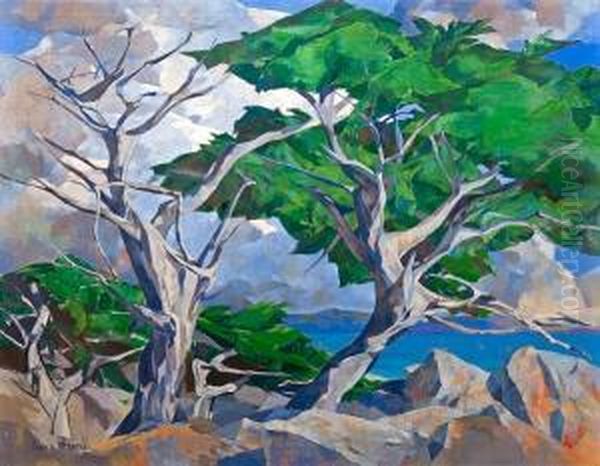 17 Mile Drive Oil Painting by Francis John Mccomas