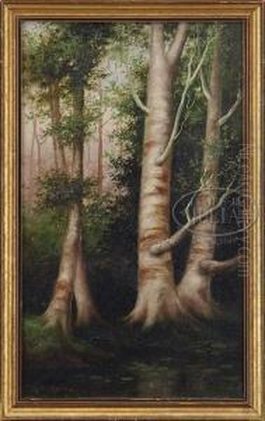 Lily Pads Amongst The Birches Oil Painting by George Mcconnell