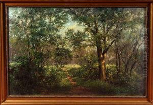 A Woodland Path Oil Painting by Norman M. Mcdougall