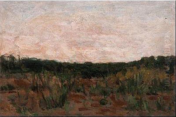 Paisaje Oil Painting by Manuel Medina Diaz