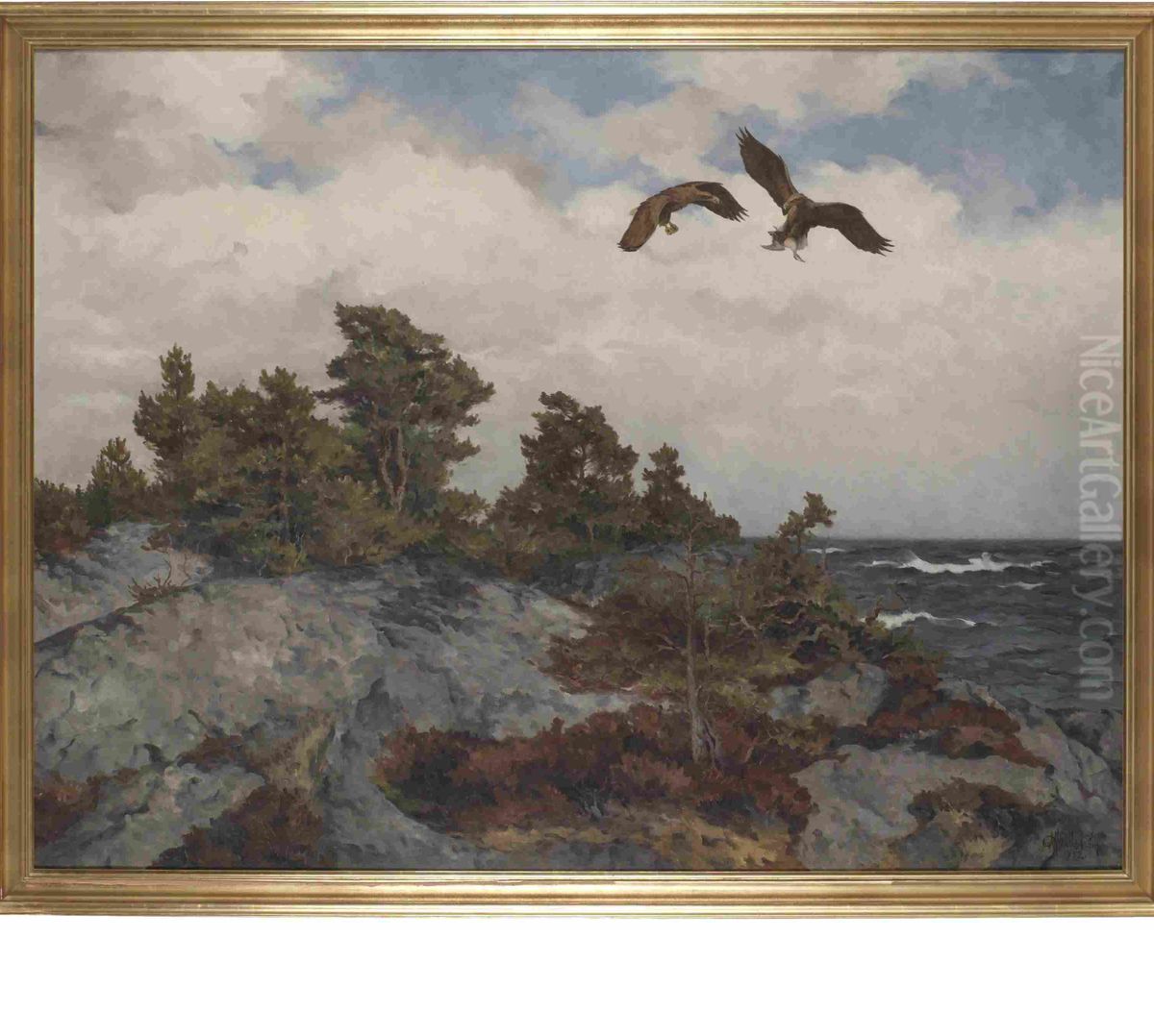 Havsornar Med Byte, 
Motiv Fran Toro Oil Painting by Rolf Mellstrom