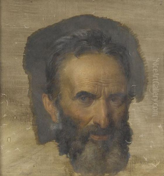 Kopf Eines Bartigen Mannes Oil Painting by Tommaso Minardi