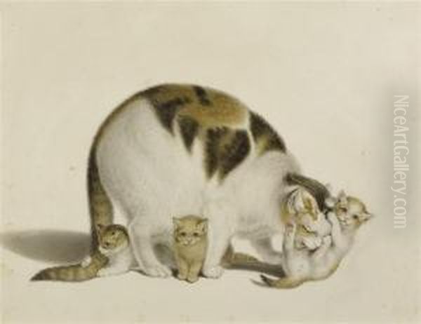 Mother Cat With Three Young Oil Painting by Gottfried Mind or Mindt