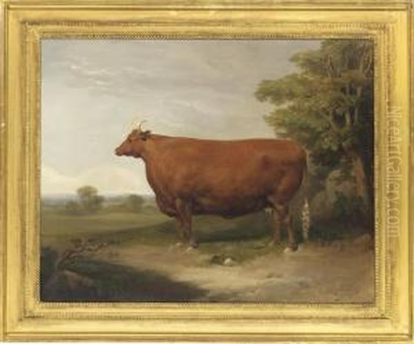 A Prize Cow In An Extensive Landscape; And A Prize Bull In Afarmyard Oil Painting by Thomas Mogford Of Exeter