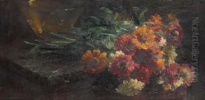 Stilleven Met Zinnia