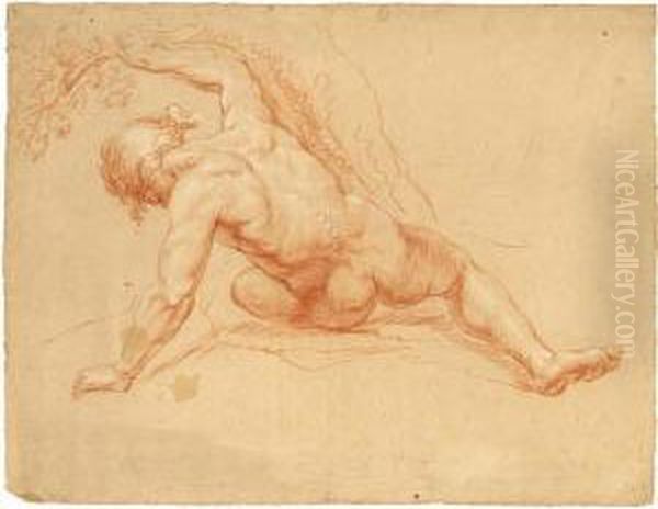 Male Nude, Seen From The Back Oil Painting by Daniel Mytens