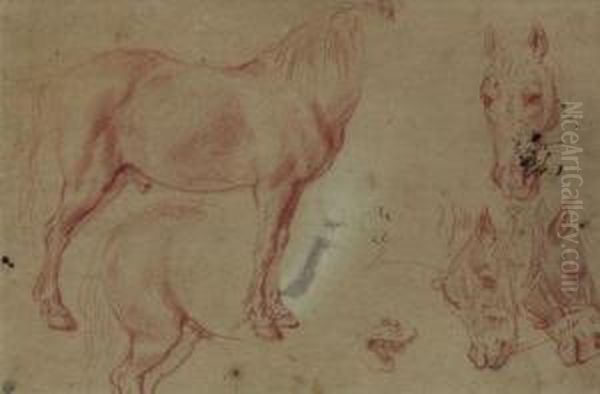 Feuille D'etudes De Chevaux Oil Painting by and Snyders, F. Rubens, Peter Paul