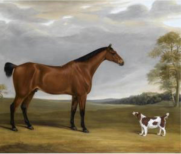 Various Properties
 

 
 
 

 
 A Bay Hunter And Spaniel Before Goodwood Park Oil Painting by William Nedham