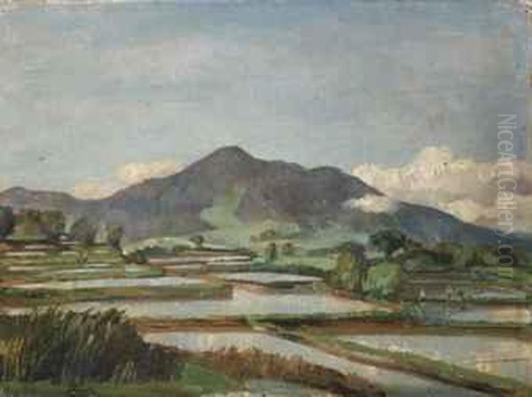 Landscape With Rice Fields Oil Painting by Jan Frank Niemantsverdriet