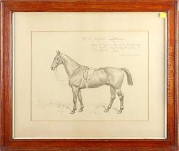 Mr W J Hollick's 'laddie' Oil Painting by Basil J. Nightingale