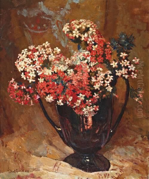 Rood-witte Floxen In Vaas Oil Painting by Frans David Oerder