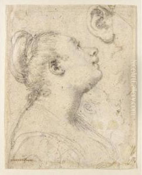 Recto: Oil Painting by Gregorio Pagani