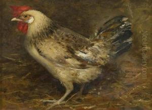 Gallina Oil Painting by Michele Palumbo