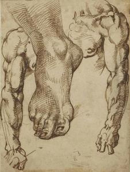 Etude De Pied Et De Bras Oil Painting by Bartolomeo Passarotti