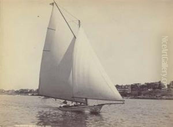 Sloops Racing Oil Painting by Henry C. Peabody