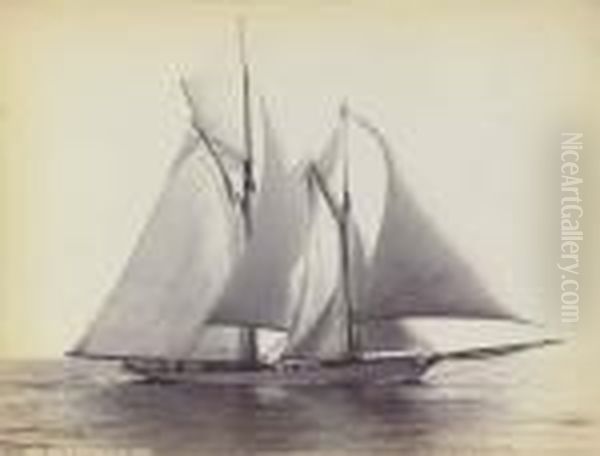 Racing Cutters Oil Painting by Henry C. Peabody