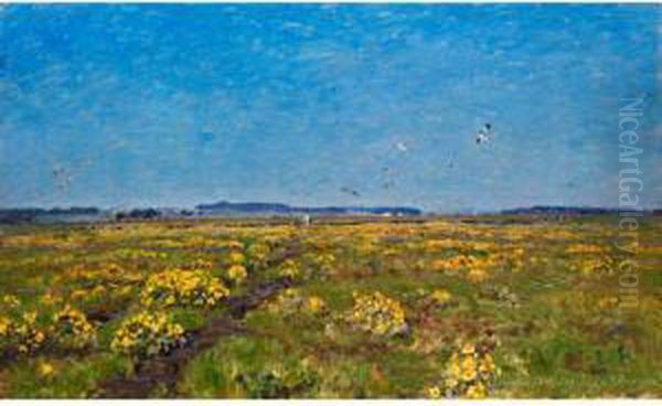 Weite Moorlandschaft Mit Gelbendotterblumen Und Auffliegenden Vogeln Oil Painting by Viggo Christian Frederick Pedersen