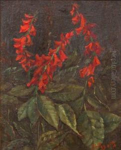 Campanule In Fiore Oil Painting by Romeo Pellegatta