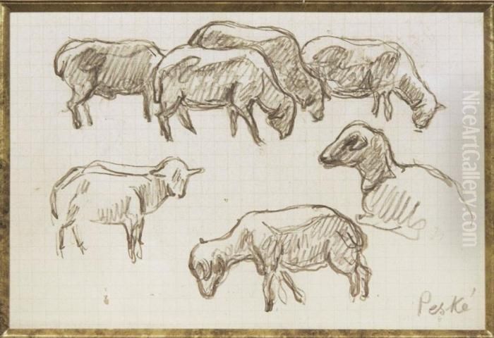 Etude De Brebis Oil Painting by Jean Misceslas Peske