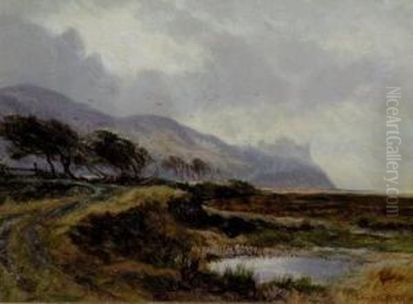 A View Of Harlech Castle Oil Painting by Edwin Pettitt