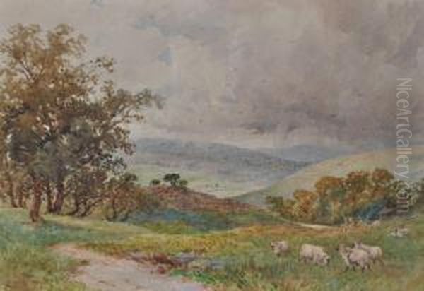 Sheep In Yorkshirelandscape Oil Painting by Charles Pigott