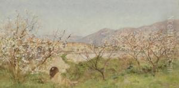 Primavera A Pompei Oil Painting by Alberto Pisa