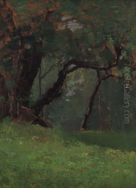 Alberi E Verde Oil Painting by Giovanni Piumati