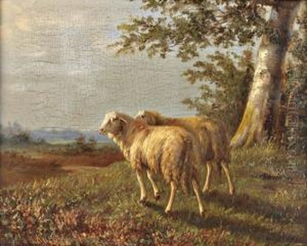 Ovelhas No Campo Oil Painting by Laurens Plas