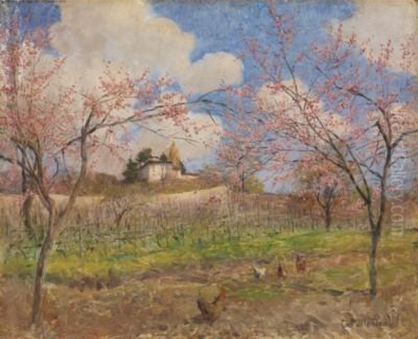 Ciliegi In Fiore Oil Painting by Carlo Pollonera