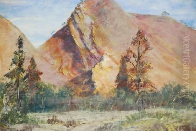 Shutter Near Bunyeroo Oil Painting by Elizabeth Keith Pond