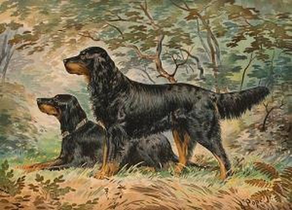 Gordon Setters; Pointer: Two Oil Painting by Alexander Pope