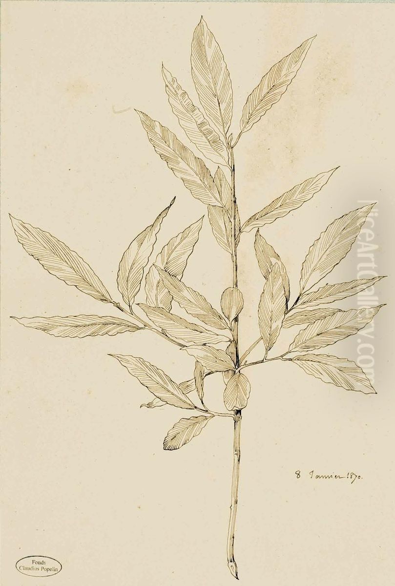 Neuf Etudes De Plantes Et Feuillages Oil Painting by Claudius Marcel Popelin-Ducarre