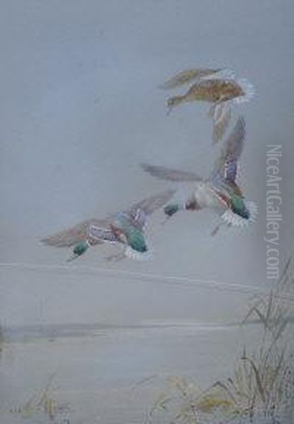 Mallards Landing Oil Painting by William E. Powell