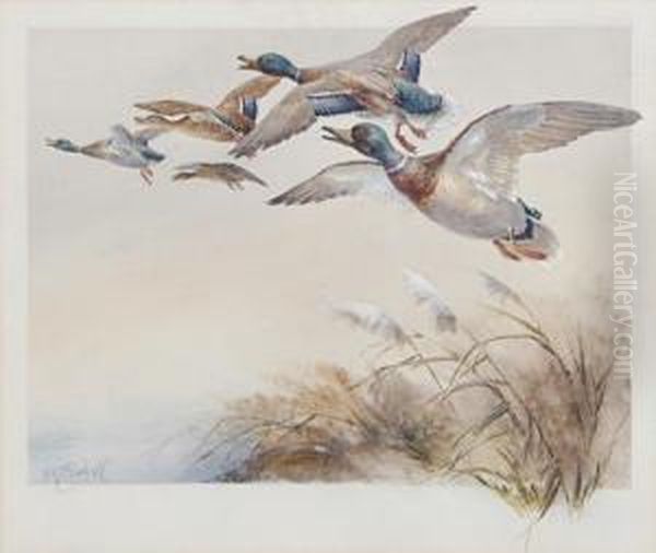 Ducks In Flight Oil Painting by William E. Powell