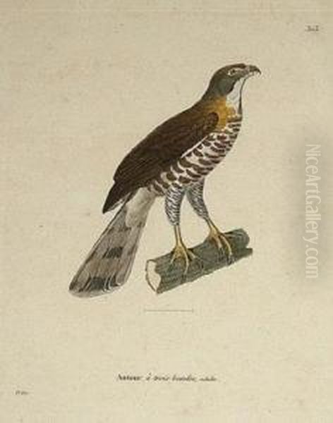 Autour; Playrinque Oil Painting by Jean Gabriel Pretre