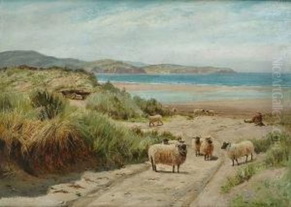 Sheep In The Dunes Oil Painting by Thomas J. Purchas