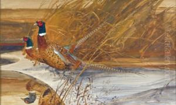 Prairie Longtails Oil Painting by Edmund Thomas Quinn