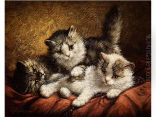 Drei Spielende Junge Katzchen Auf Rotemtuch Oil Painting by Cornelis Raaphorst