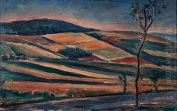 Vaclav - Krajina Oil Painting by Vaclav Rabas