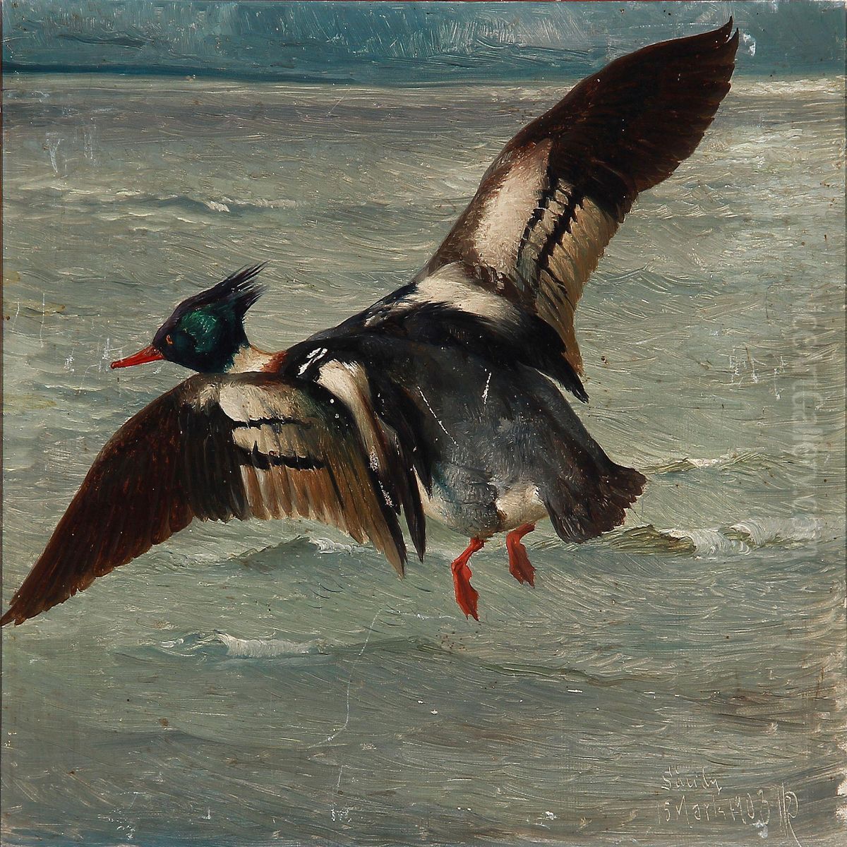A Duck Flying Over The Sea Oil Painting by Niels Pieter Rasmussen