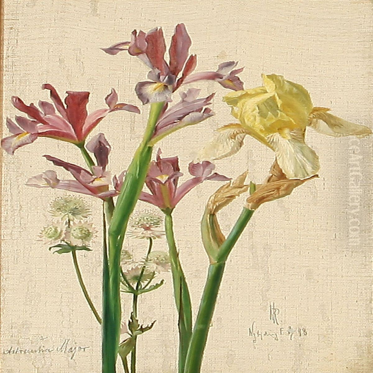 Iris And Astrantia Major Oil Painting by Niels Pieter Rasmussen