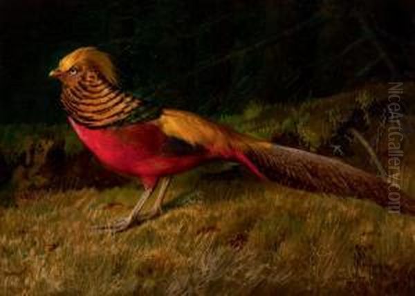 Pheasant Oil Painting by Niels Pieter Rasmussen