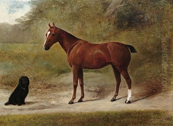 A Pony With A Terrier Oil Painting by William Josiah Redworth