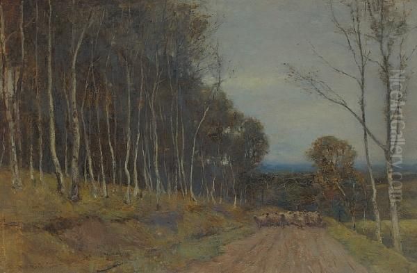 A Birch Wood Cullen Oil Painting by Archibald David Reid