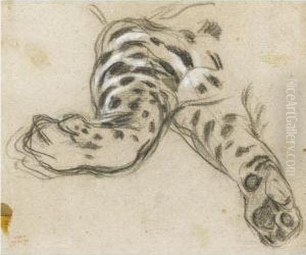 Study Of A Leopard's Paws Oil Painting by Leon Louis Antoine Riesener