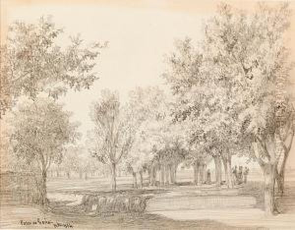 Vista Del Paseo De Gracia Oil Painting by Luis Rigalt