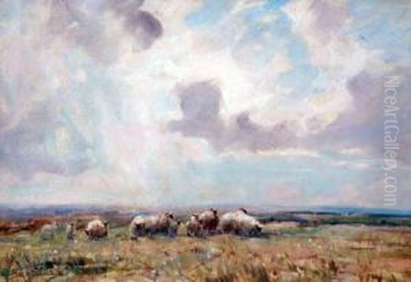 Sheep Grazing In An Open Landscape Oil Painting by David Robertson